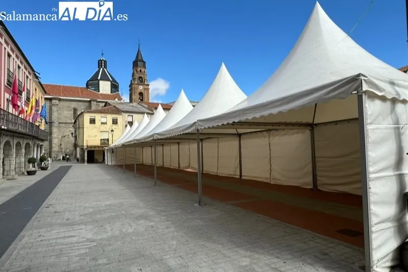Foto 2 - El montaje de carpas para los cerca de 30 expositores de la II Feria Agroalimentaria transforma ya la Plaza de la Constituci&oacute;n