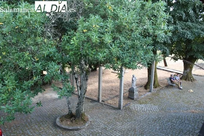 Casa Museo de la Fundación Aquilino Ribeiro, Soutosa (Moimenta da Beira, Portugal) | Fotos: MARTIN-GARAY