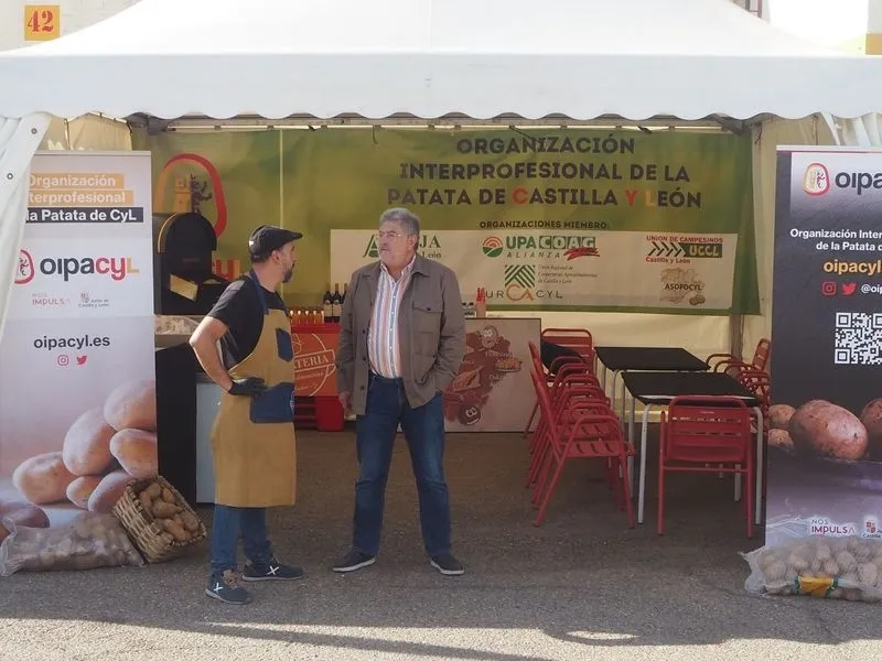 Foto 4 - 600 raciones de patatas asadas, gratis en Salamaq