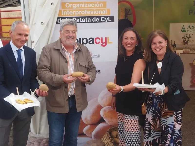 Foto 2 - 600 raciones de patatas asadas, gratis en Salamaq