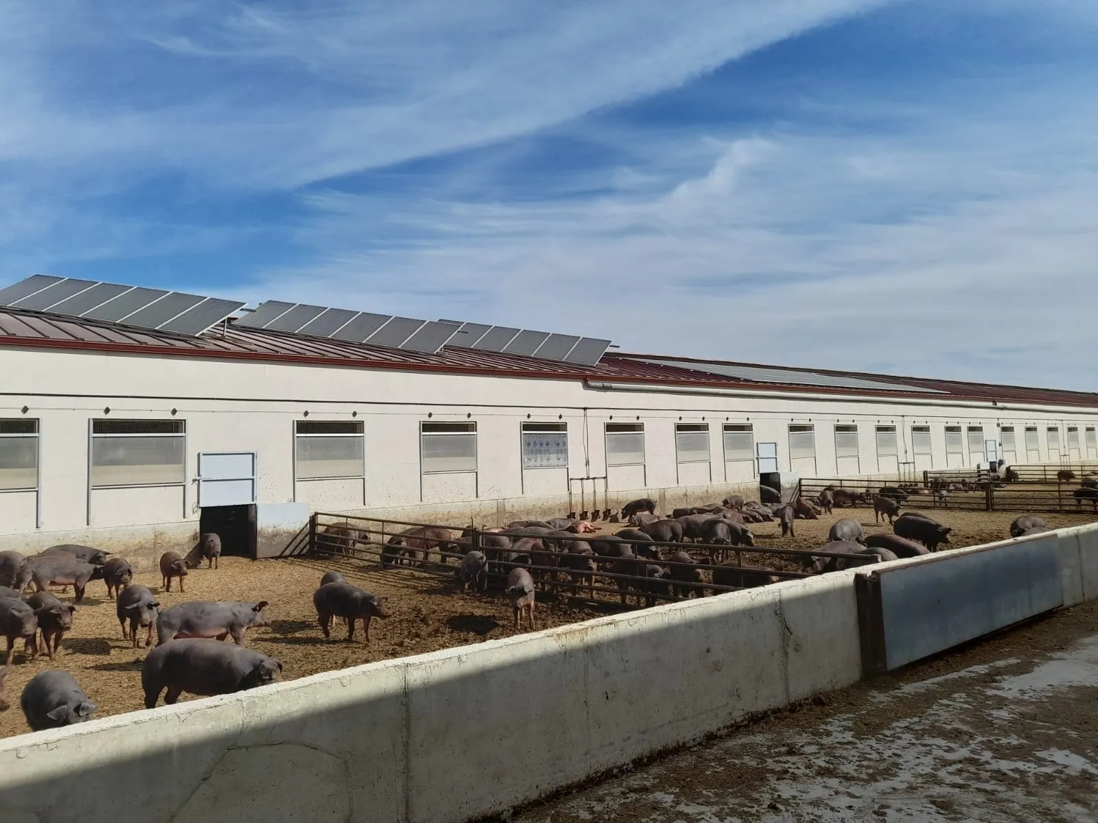 Foto 3 - Copasa apuesta por una ganader&iacute;a rentable y sostenible con nuevos productos y servicios