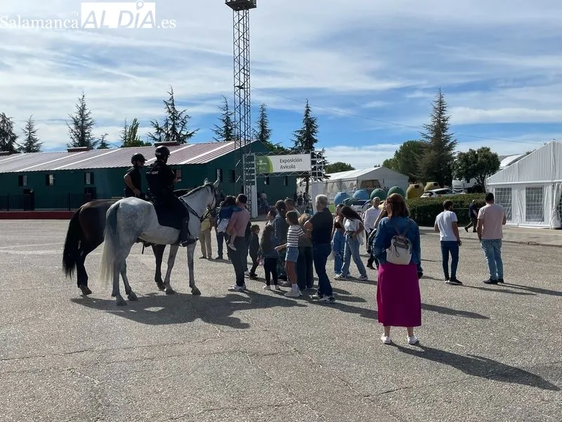 Gran ambiente en la jornada inaugural de Salamaq 2024. Foto de Miguel González
