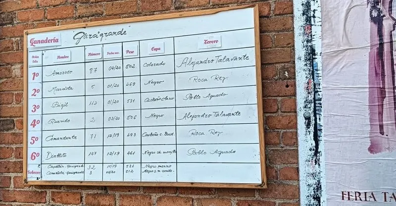 Sorteo y orden de lidia de los toros de esta tarde en La Glorieta