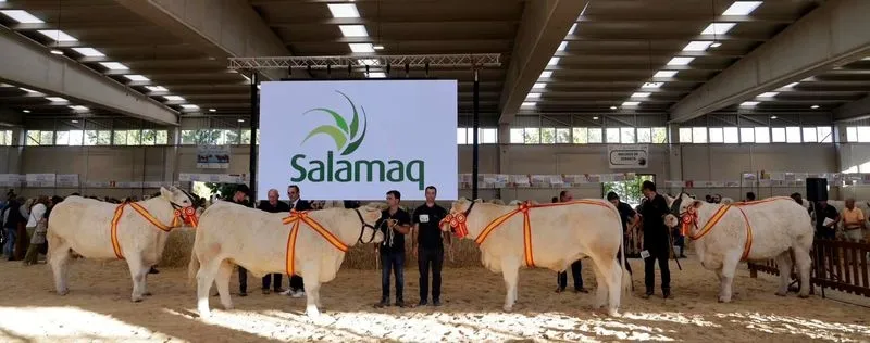Ganadores del XXXV Concurso Nacional de Ganado Vacuno de la Raza Charolesa