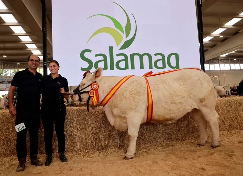 Ganadores del XXXV Concurso Nacional de Ganado Vacuno de la Raza Charolesa