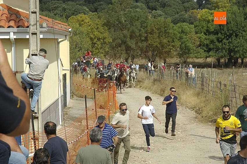 Encierro a caballo en Espeja San Lino 24/ Fotos: Adrián M. Pastor