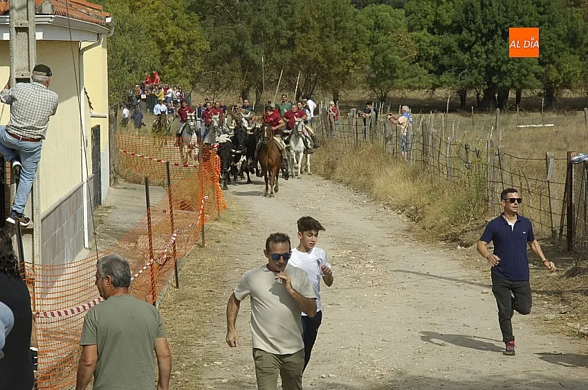 Encierro a caballo en Espeja San Lino 24/ Fotos: Adrián M. Pastor
