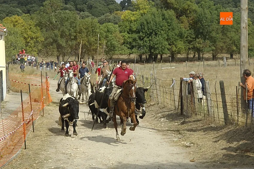 Encierro a caballo en Espeja San Lino 24/ Fotos: Adrián M. Pastor