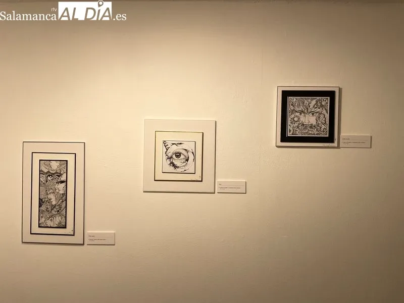 Exposición 'Metamorfosis' del talentoso artista autodidacta salmantino Francisco Partearroyo. Foto de Miguel González