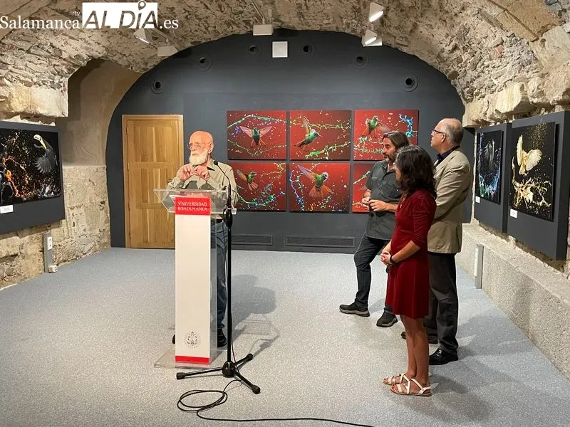Exposición ‘Belleza Amenazada’ de Tony Genérico en la Hospedería Fonseca. Foto de Miguel González