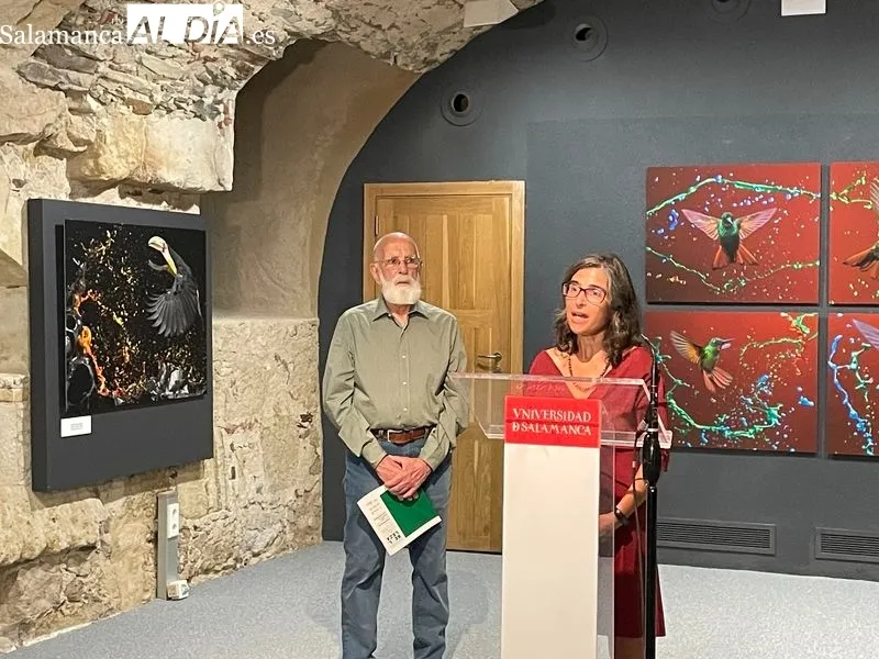 Exposición ‘Belleza Amenazada’ de Tony Genérico en la Hospedería Fonseca. Foto de Miguel González