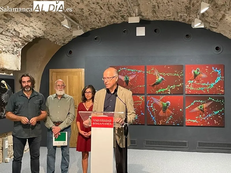 Exposición ‘Belleza Amenazada’ de Tony Genérico en la Hospedería Fonseca. Foto de Miguel González