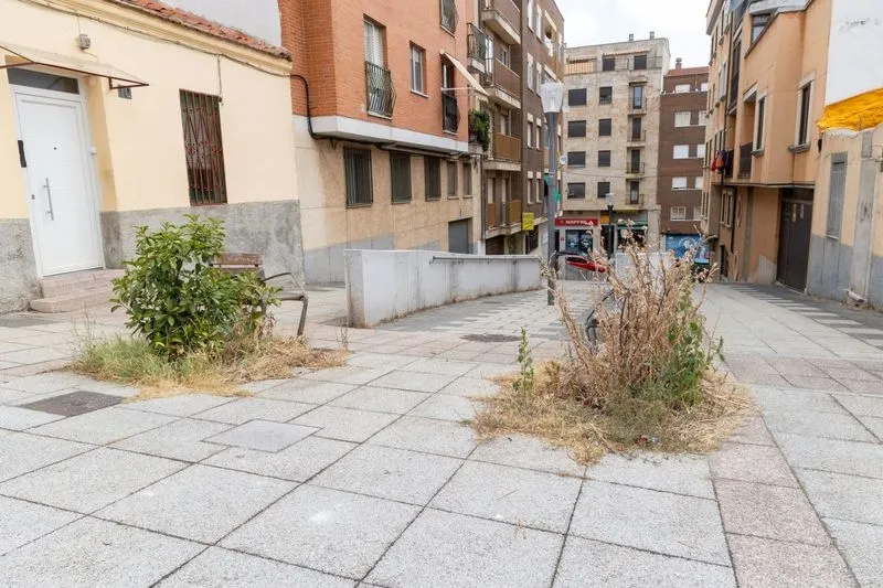 Piden acabar con el deterioro de las zonas verdes en los barrios 