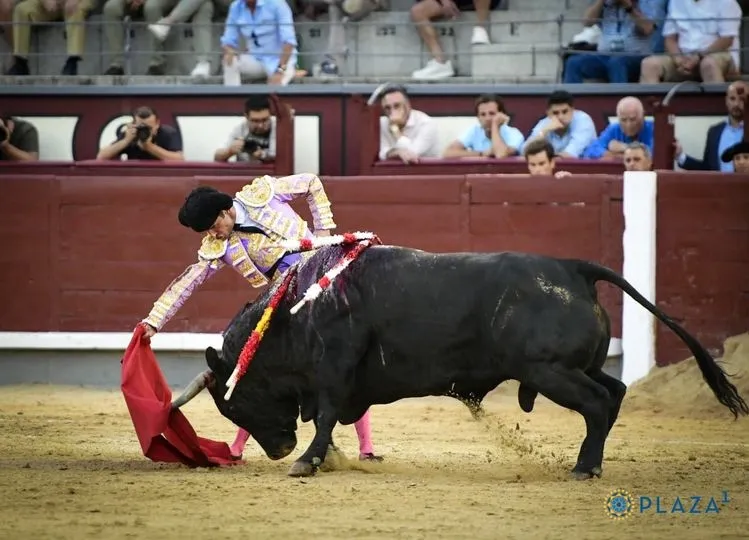 Fotos: Plaza 1 - Las Ventas