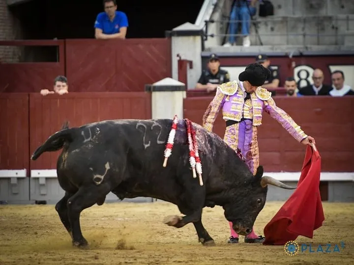 Fotos: Plaza 1 - Las Ventas