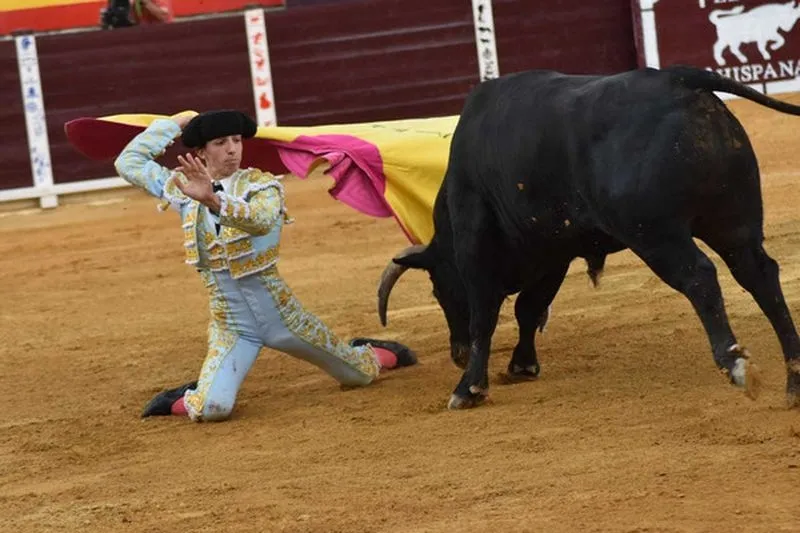 Julio Norte se lleva el prestigioso certamen Novilladas de Canal Sur | FOTOS: AAET PEDRO ROMERO