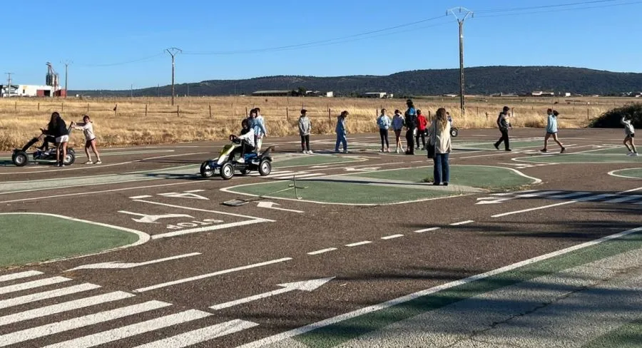 Foto 3 - El Ayuntamiento instalar&aacute; m&aacute;s badenes en zonas residenciales y ojos de gato en 16 pasos de cebra