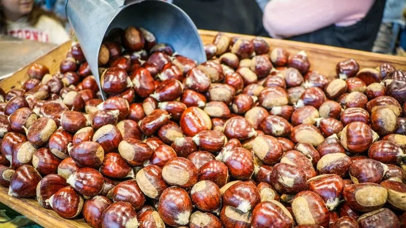 Feria de la Castaña de Trancoso (Portugal) 