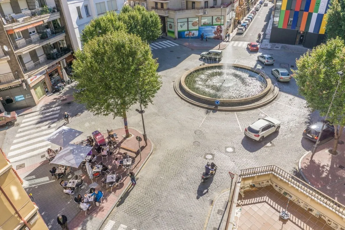 Árboles en la plaza del Oeste. Foto: ZOES