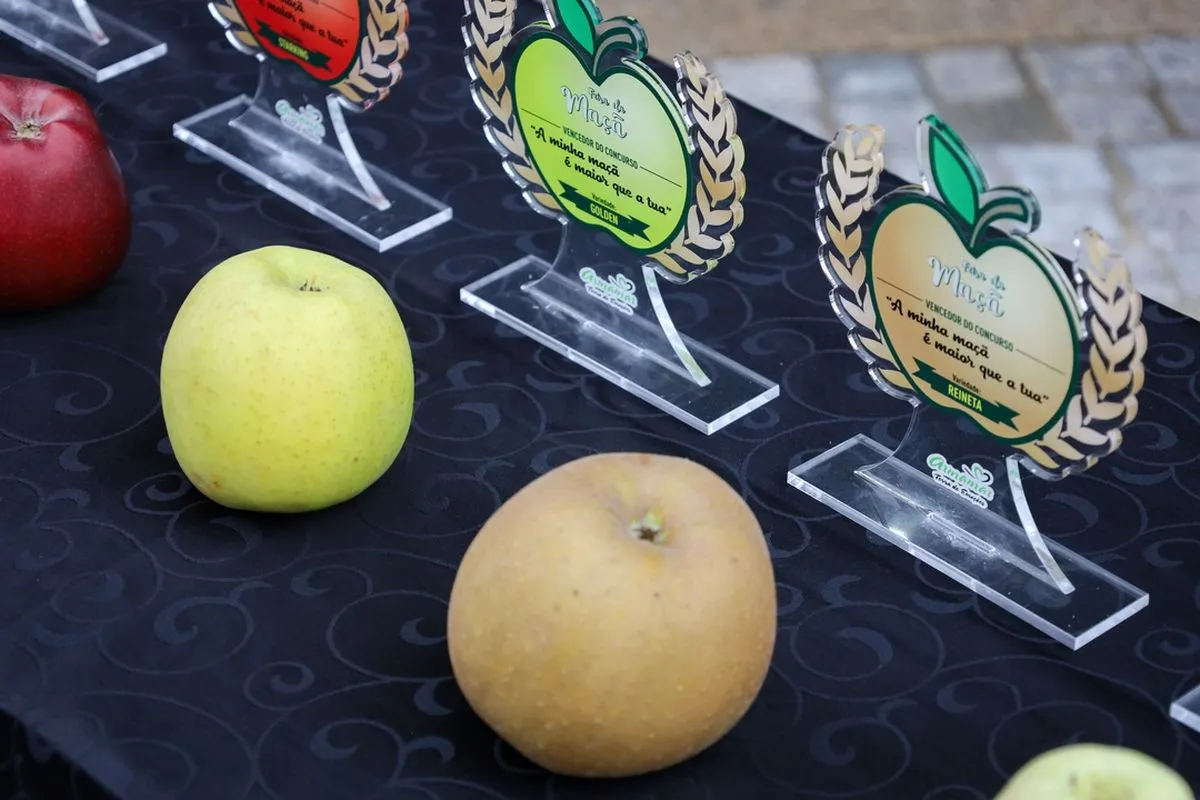 Concurso de Manzanas de Armamar 