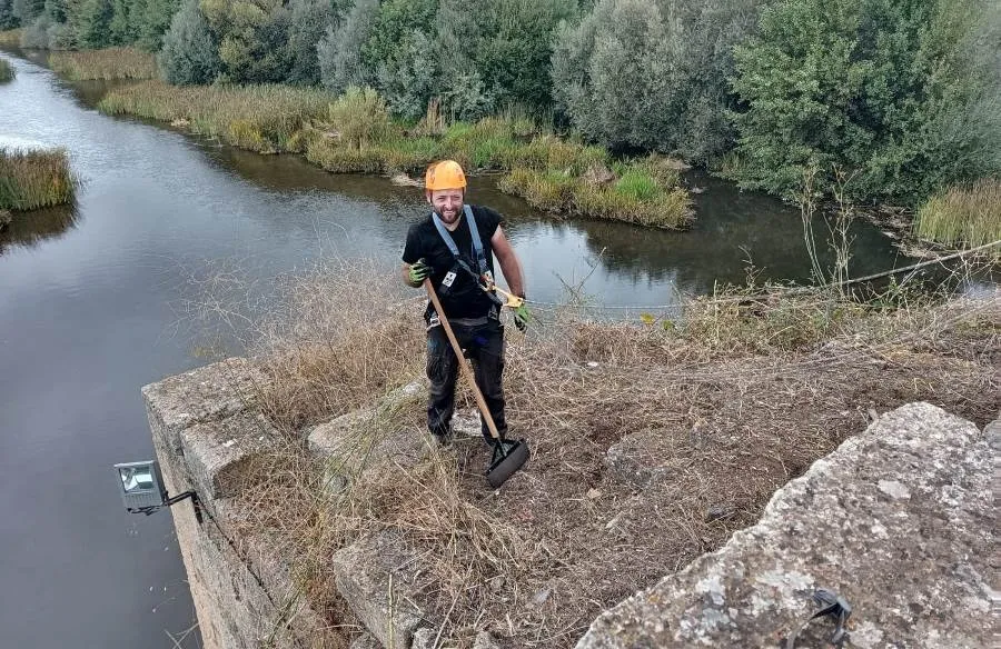 Foto 2 - Concluye la retirada de la vegetaci&oacute;n del Puente Mayor
