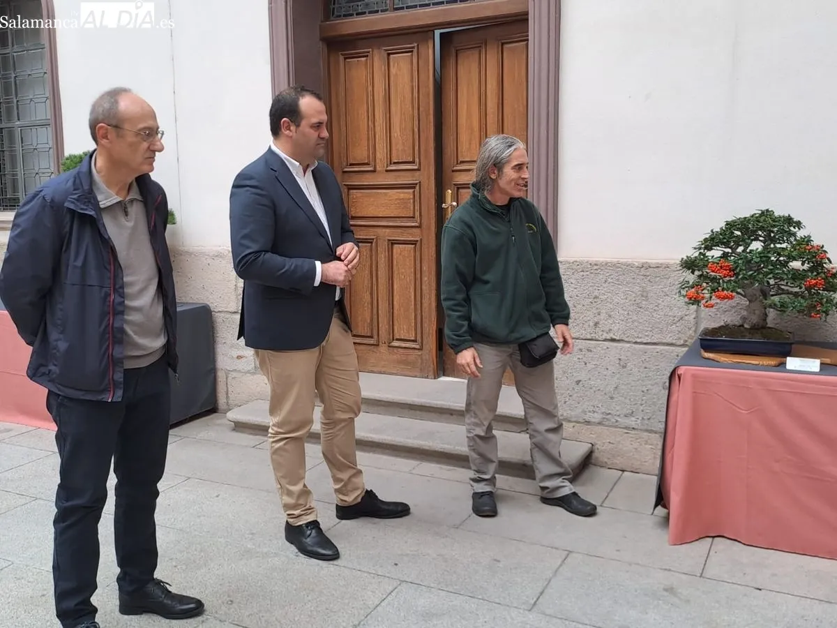 Exposición ‘Bonsáis’ en el Palacio de la Salina. Fotos de Víctor Jiménez