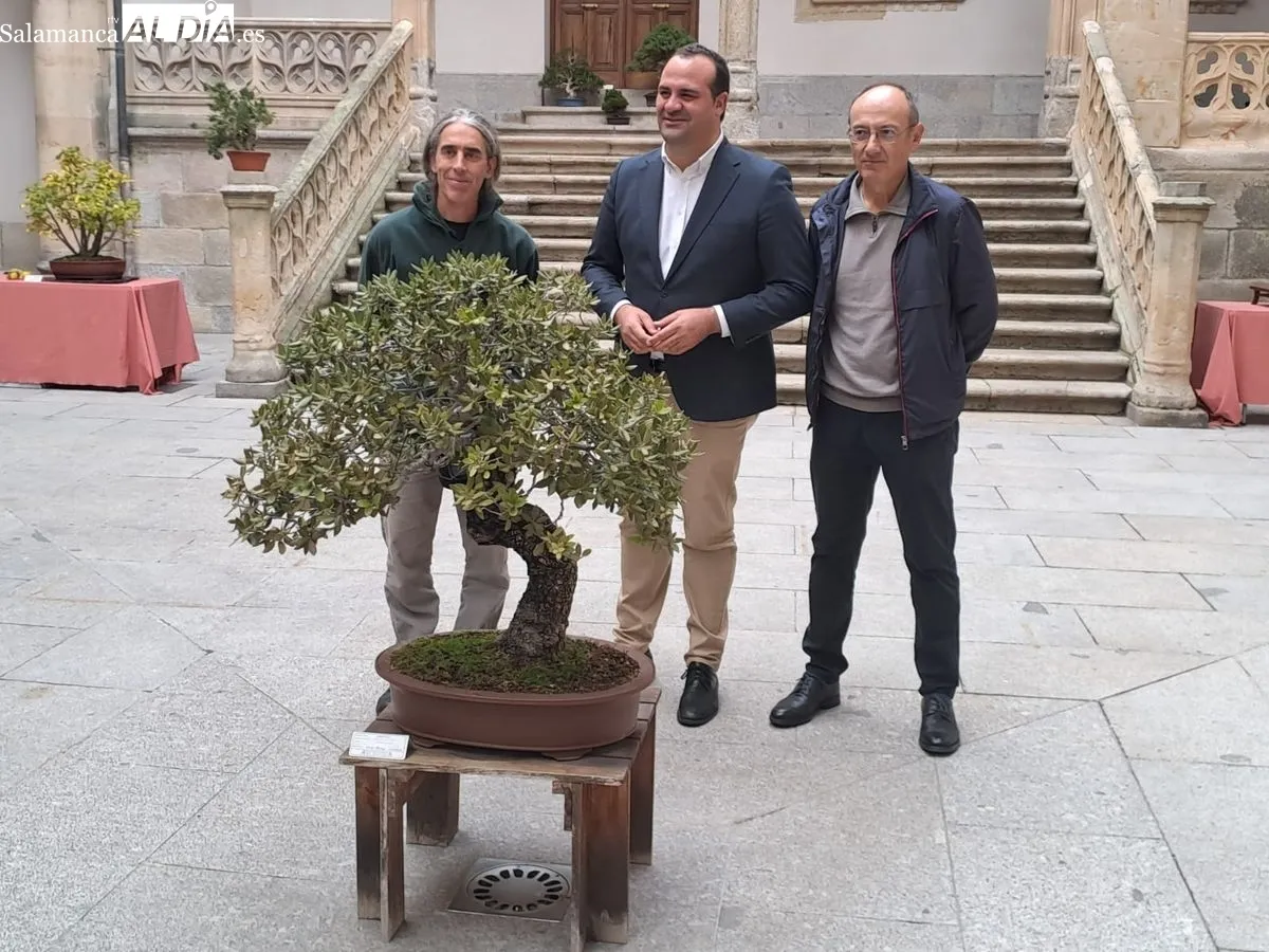 Exposición ‘Bonsáis’ en el Palacio de la Salina. Fotos de Víctor Jiménez
