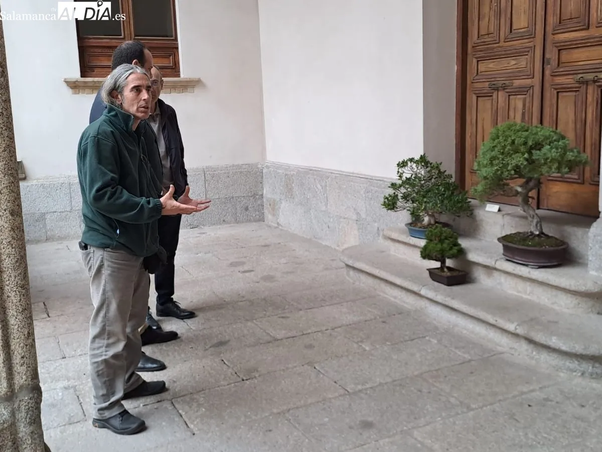 Exposición ‘Bonsáis’ en el Palacio de la Salina. Fotos de Víctor Jiménez