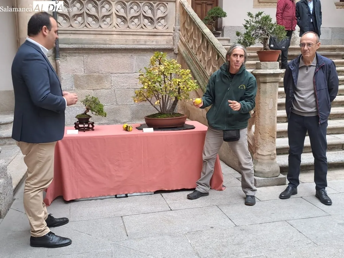 Exposición ‘Bonsáis’ en el Palacio de la Salina. Fotos de Víctor Jiménez