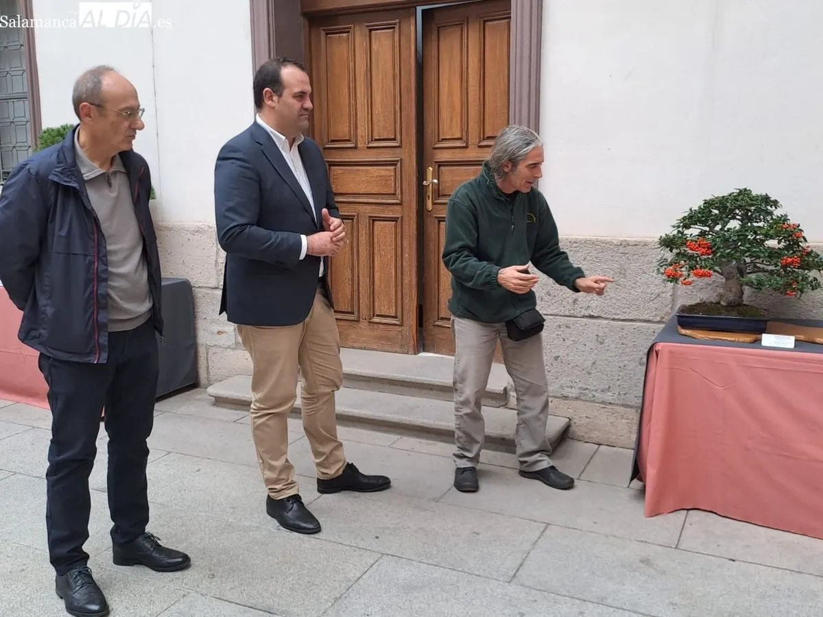 Exposición ‘Bonsáis’ en el Palacio de la Salina. Fotos de Víctor Jiménez