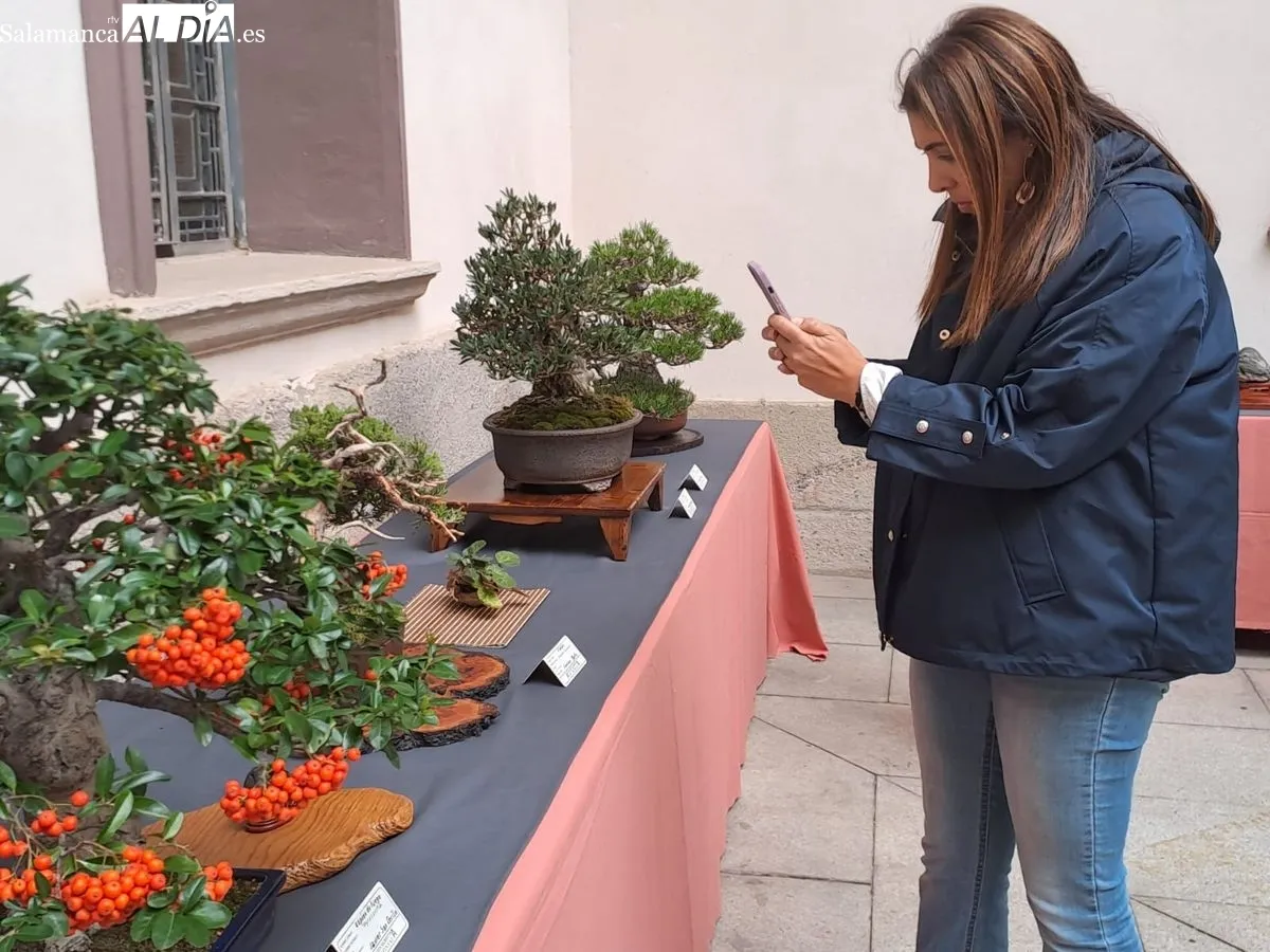 Exposición ‘Bonsáis’ en el Palacio de la Salina. Fotos de Víctor Jiménez