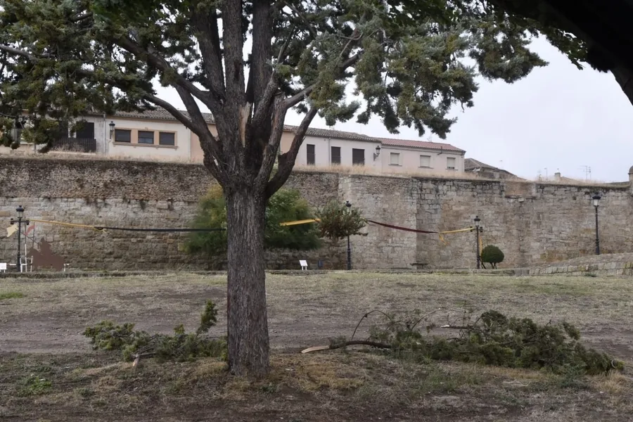 Foto 10 - Kirk deja una colecci&oacute;n de ramas ca&iacute;das por Ciudad Rodrigo