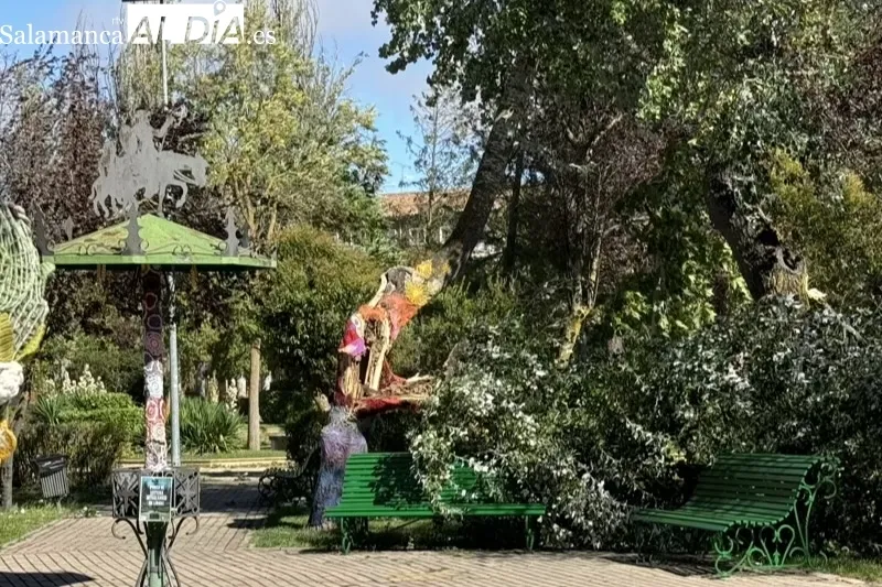 Foto 7 - El hurac&aacute;n Kirk deja numerosas incidencias, cierre de espacios y suspensi&oacute;n de actividades en Pe&ntilde;aranda 