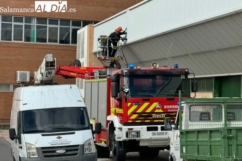 Foto 9 - El hurac&aacute;n Kirk deja numerosas incidencias, cierre de espacios y suspensi&oacute;n de actividades en Pe&ntilde;aranda 