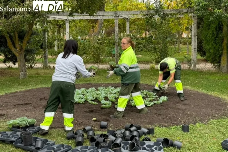Foto 2 - Un total de 2.500 plantas de temporada renuevan las flores en los espacios verdes de Pe&ntilde;aranda