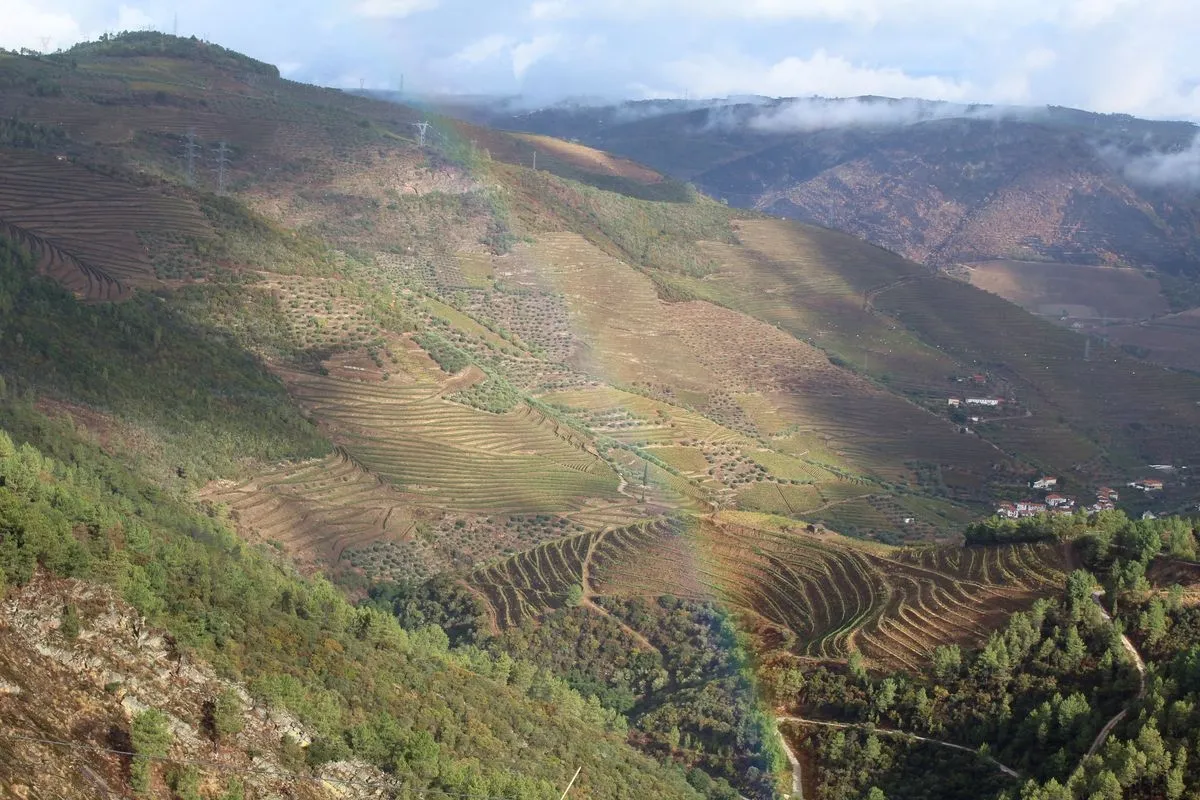 Paisaje cultivado en Armamar | RMG
