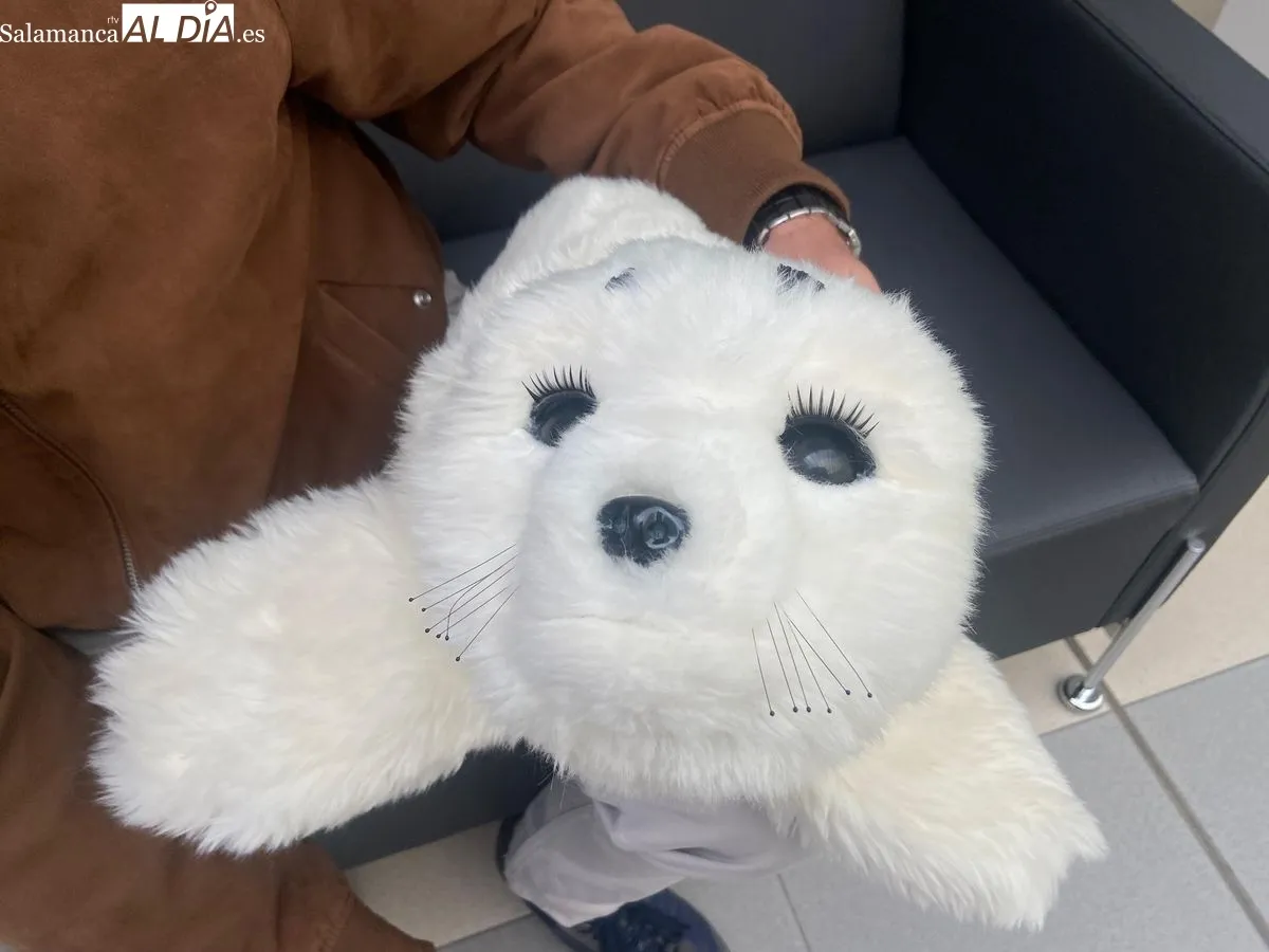 Paro, la foca robot creada para las personas con demencia mejora su calidad de vida | FOTO: Vanesa Martins 
