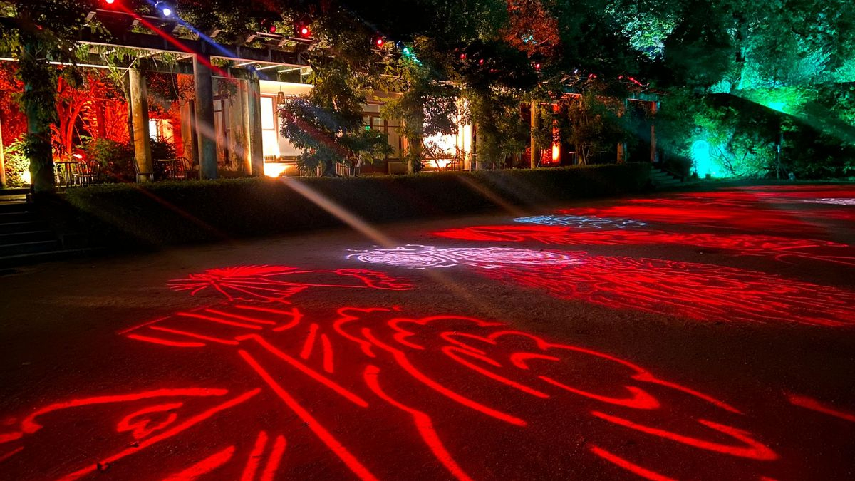 Serralves en Luz, la exposición sensorial que no te puedes perder en Oporto