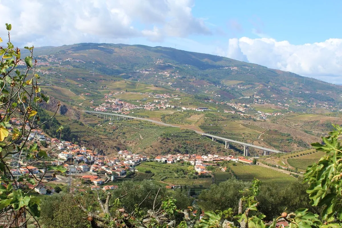 Vista sobre Régua | RMG
