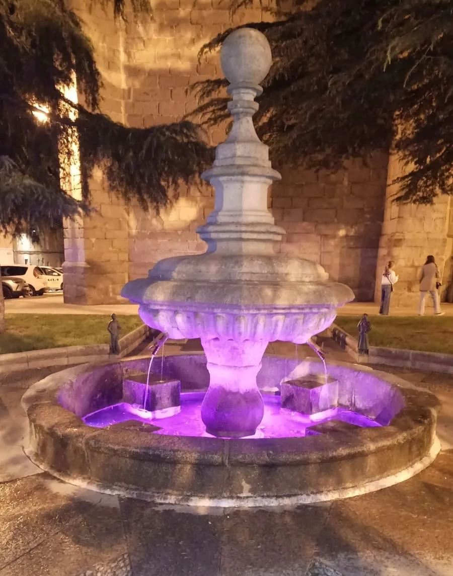 Foto 2 - Pe&ntilde;aranda se viste de rosa para conmemorar el D&iacute;a Mundial contra el C&aacute;ncer de Mama