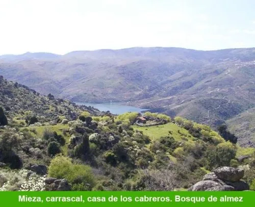 Imágenes de El Almezal de Mieza’, vivienda de uso turístico del Ayuntamiento de Mieza