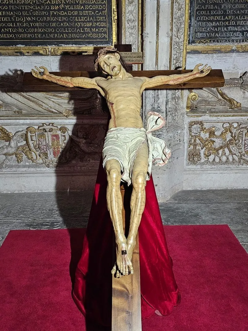 Fotos: Real Cofradía de Cristo Yacente y de la Agonía Redentora