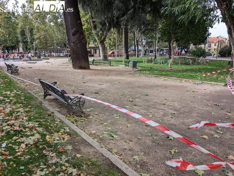 Efectos de las fuertes rachas de viento en el parque de la Alamedilla. Foto de David Sañudo