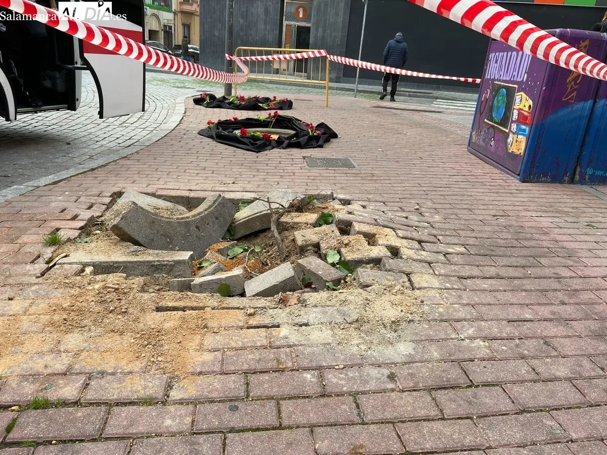 Imagen de la plaza del Oeste tras la tala de los árboles que tenía lugar el martes. Foto de Miguel González