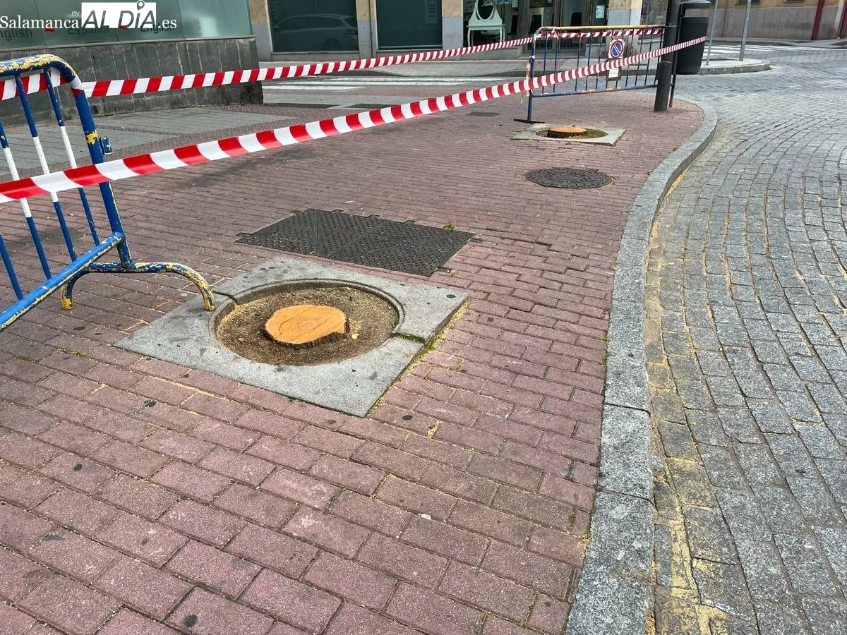 Imagen de la plaza del Oeste tras la tala de los árboles que tenía lugar el martes. Foto de Miguel González