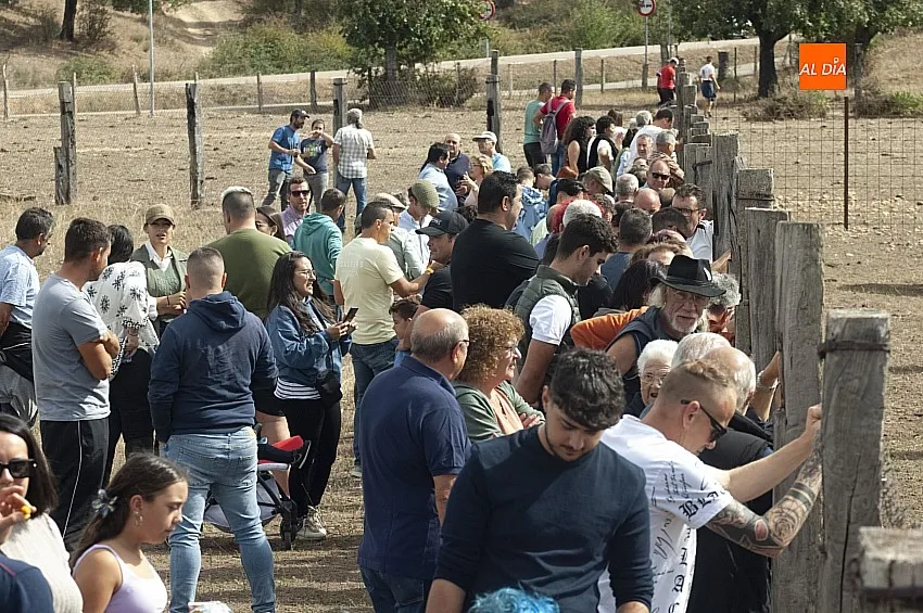 Encierro a Caballo en Alba de Yeltes/ Fotos: Adrián M.Pastor