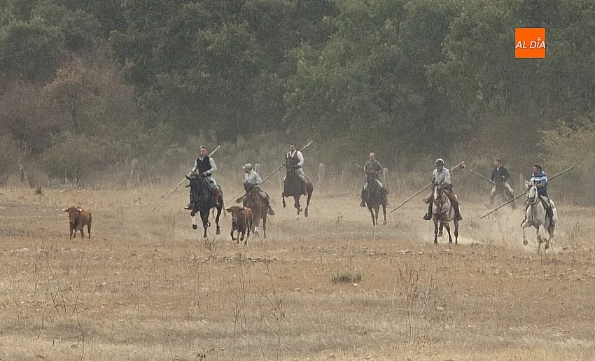 Encierro a Caballo en Alba de Yeltes/ Fotos: Adrián M.Pastor