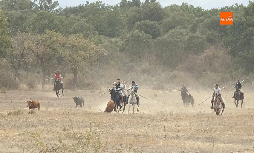Encierro a Caballo en Alba de Yeltes/ Fotos: Adrián M.Pastor