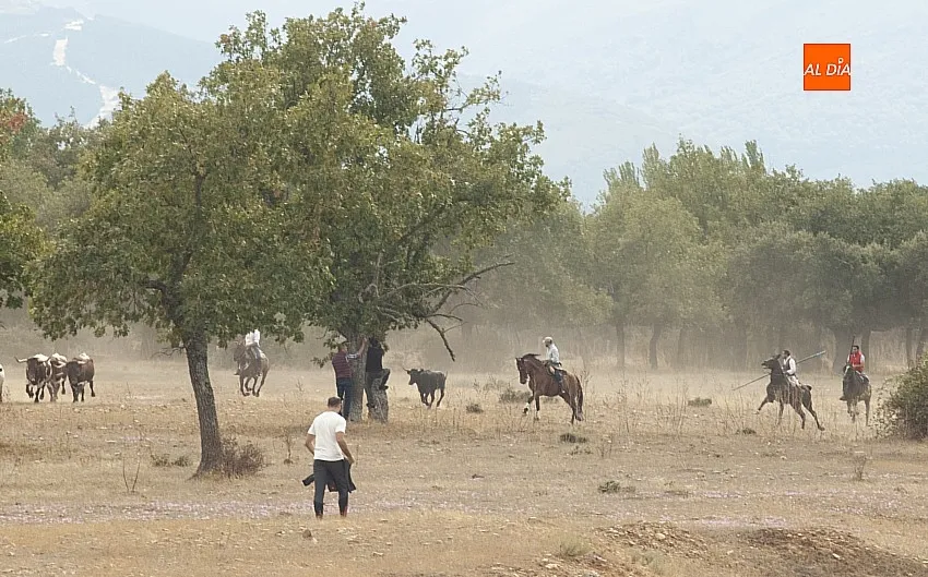 Encierro a Caballo en Alba de Yeltes/ Fotos: Adrián M.Pastor