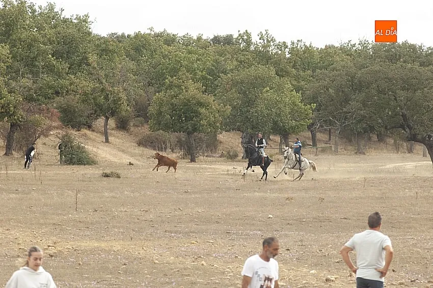 Encierro a Caballo en Alba de Yeltes/ Fotos: Adrián M.Pastor